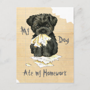 Postal Mi Affenpinscher comió mi hogar