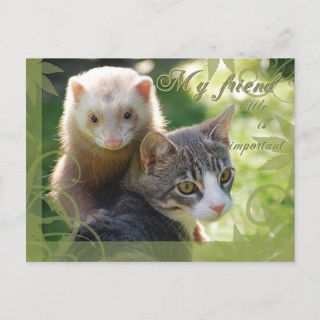 Postal Mi amigo (Anverso)