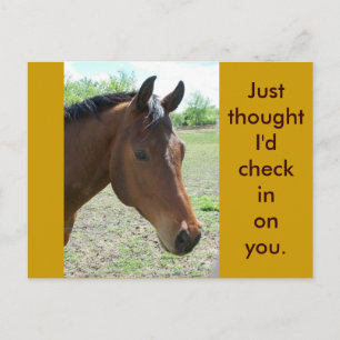 Postal Mi amigo, el caballo