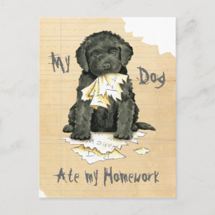 Postal Mi Barbet Ate My Homework