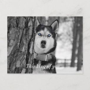 Postal Mi Bebé Ojos Azules Pensando En Usted Postcard