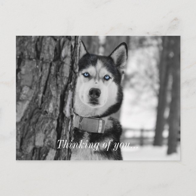 Postal Mi Bebé Ojos Azules Pensando En Usted Postcard (Anverso)