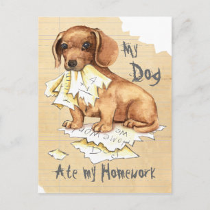 Postal Mi Dachshund Se Comía Mi Casa