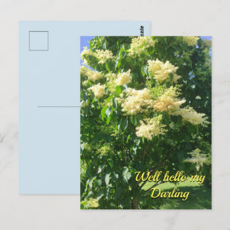 Postal Mi Darling Postcard