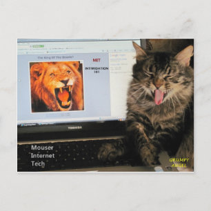 Postal Mi gato estudia en MIT Mouser Internet Tech