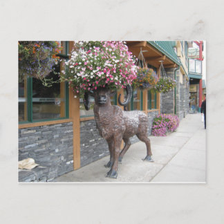 Postal Mi Gorra de flores