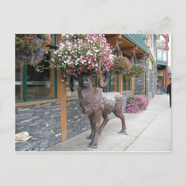 Postal Mi Gorra de flores (Anverso)