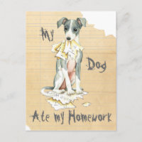 Mi Greyhound italiano se comió mi casa