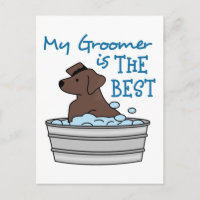 Mi Groomer