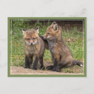 Postal Mi hermano/hermana mi amigo