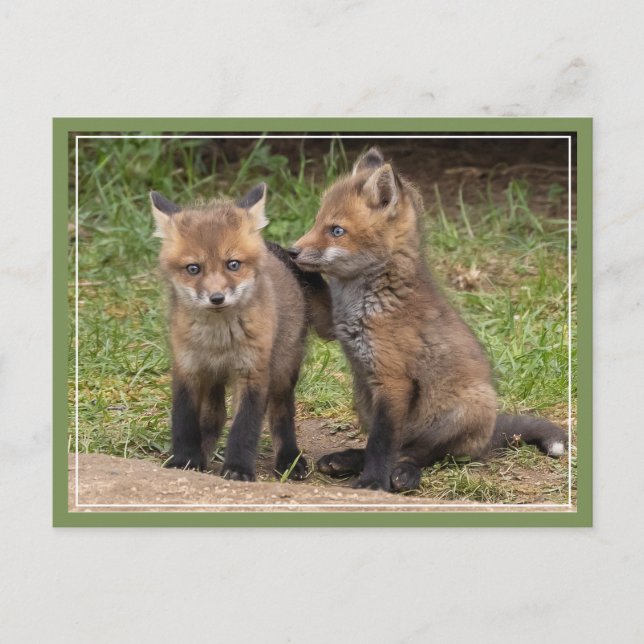 Postal Mi hermano/hermana mi amigo (Anverso)