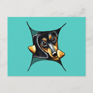 Postal Mi interior Dachshund