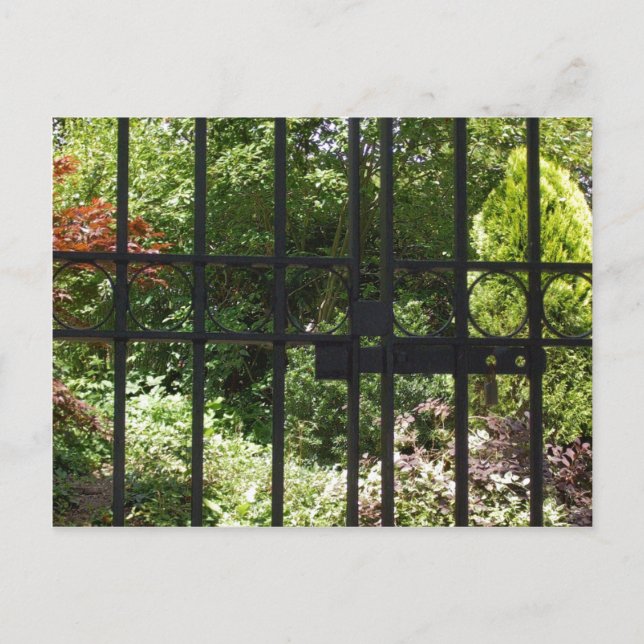 Postal Mi jardín secreto (Anverso)
