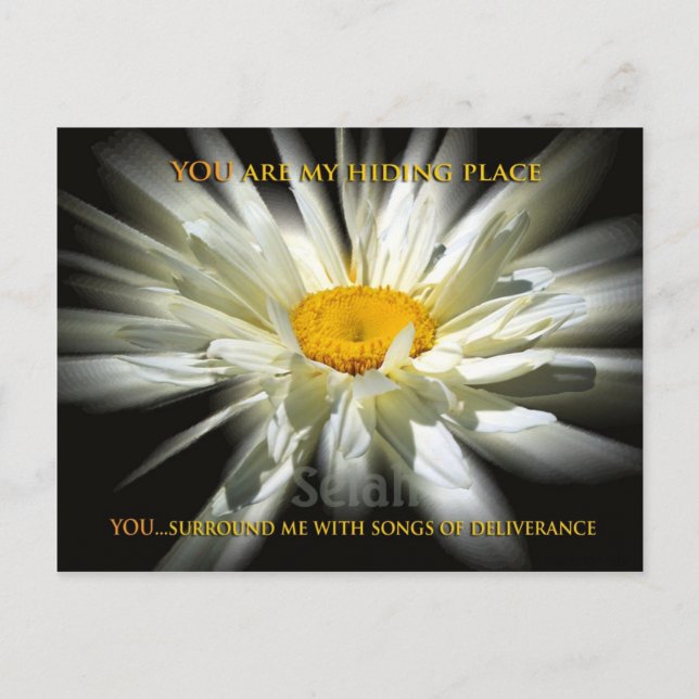 Postal Mi lugar de ocultación (Anverso)