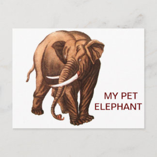 POSTAL MI MASCOTA ELEPHANT