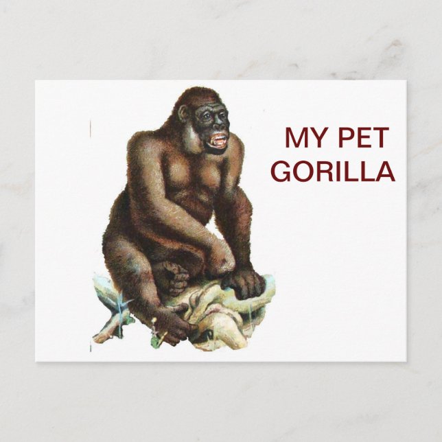 POSTAL MI MASCOTA GORILLA (Anverso)