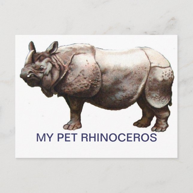POSTAL MI MASCOTA RHINOCEROS (Anverso)