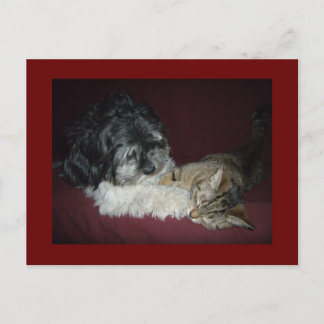 Postal Mi mejor amigo