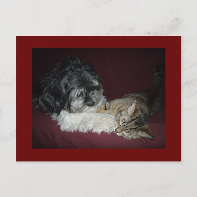 Postal Mi mejor amigo (Anverso)