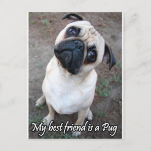 Postal Mi mejor amigo es Pug