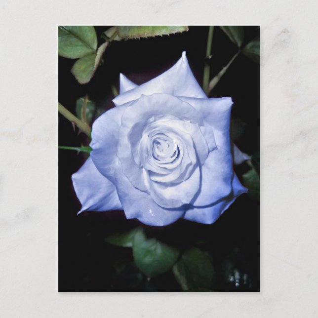 Postal Mi pequeña princesa (Anverso)