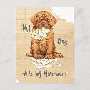 Postal Mi perro de Burdeos comió mi hogar