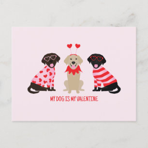 Postal Mi Perro Es Mi Perro Recuperador De San Valentín L