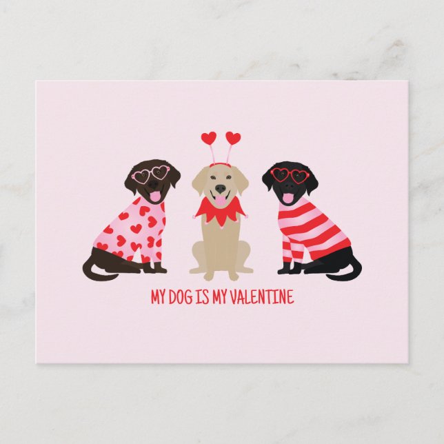 Postal Mi Perro Es Mi Perro Recuperador De San Valentín L (Anverso)