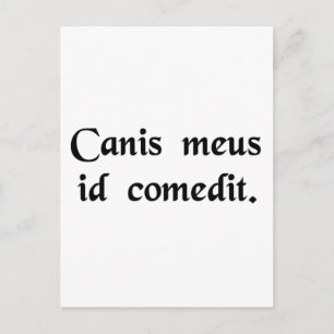 Postal Mi perro se comió