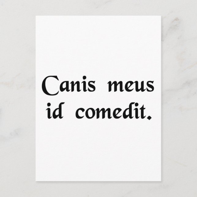 Postal Mi perro se comió (Anverso)