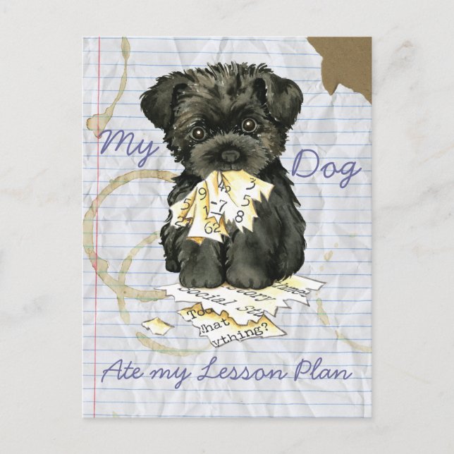 Postal Mi plan de clases de Affenpinscher Ate (Anverso)