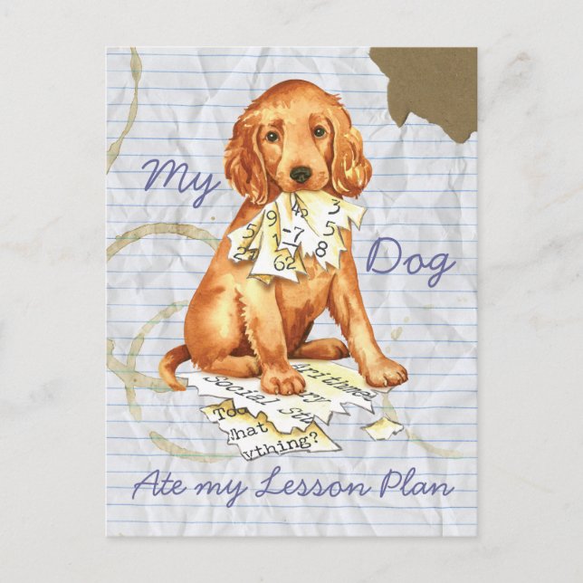 Postal Mi plan de clases de asidero irlandés (Anverso)