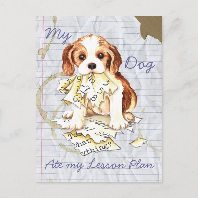 Postal Mi plan de clases de Cavalier Ate my (Anverso)