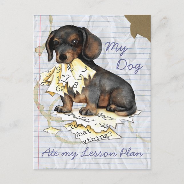 Postal Mi plan de clases de Dachshund Ate (Anverso)