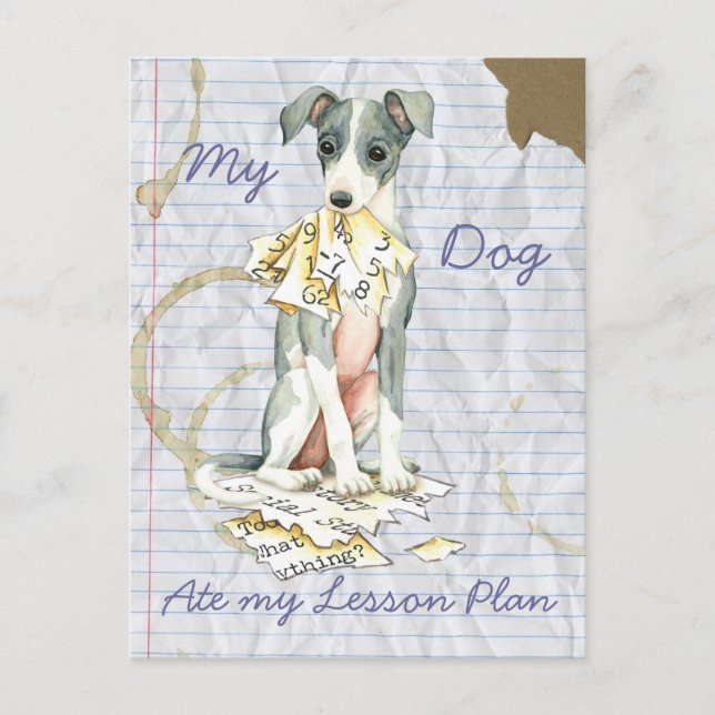 Postal Mi plan de clases de Greyhound italiano (Anverso)