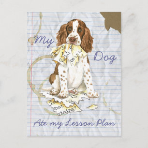 Postal Mi plan de clases de inglés Springer Spaniel Ate M