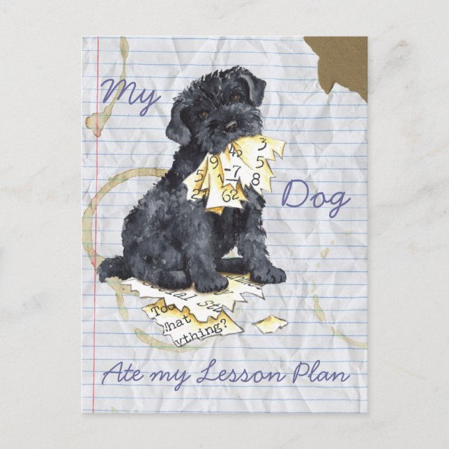 Postal Mi plan de clases de Kerry Ate My Lesage (Anverso)