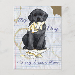 Postal Mi Plan de Lecciones de Black Lab