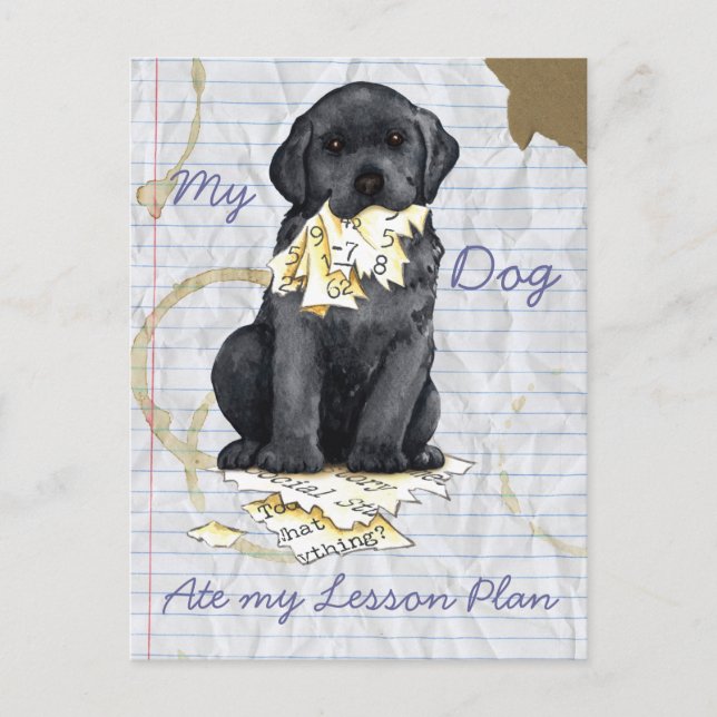 Postal Mi Plan de Lecciones de Black Lab (Anverso)
