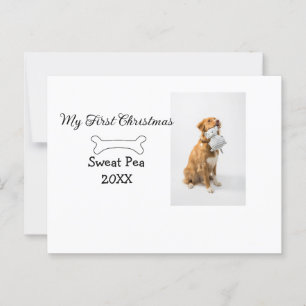 Postal Mi primera foto de animal de compañía en Navidad n