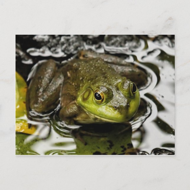 Postal Mi príncipe (Anverso)