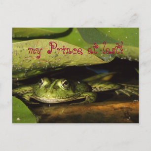 Postal ¡Mi príncipe por fin!