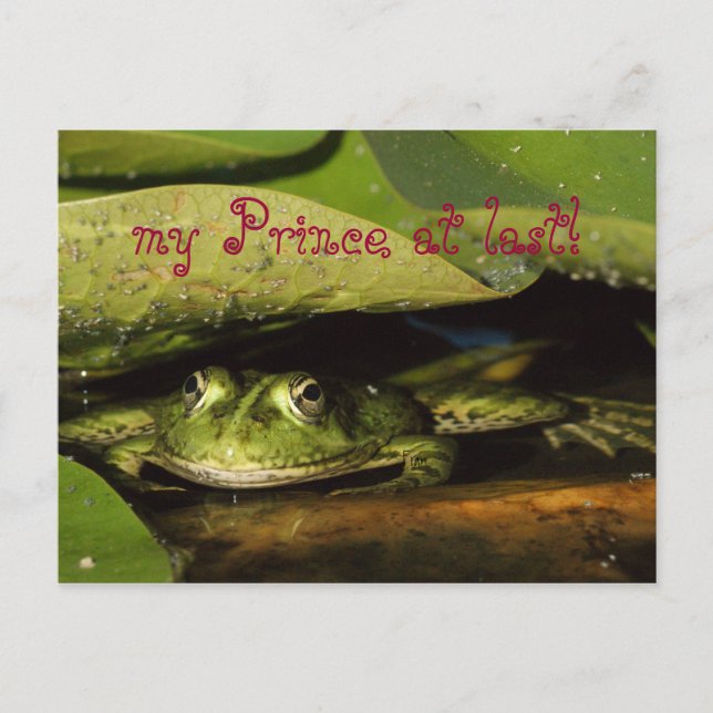 Postal ¡Mi príncipe por fin! (Anverso)