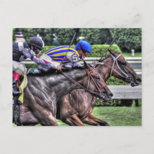 Postal Mi señorita Aurelia "El Adirondack"