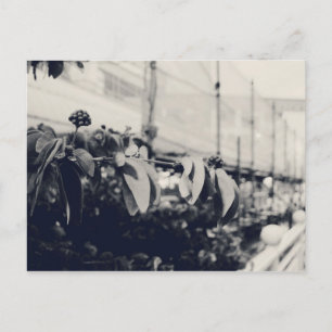 Postal Mi Singapur: Heartlands Series #6