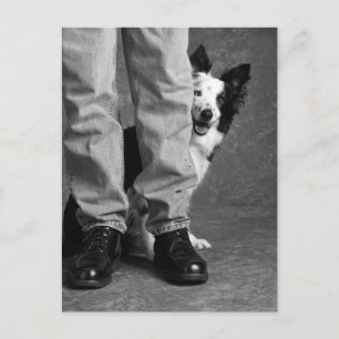 Postal Mi sombra y yo - Perro de Collie