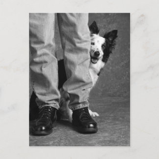 Postal Mi sombra y yo - Perro de Collie