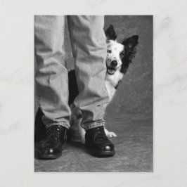 Postal Mi sombra y yo - Perro de Collie