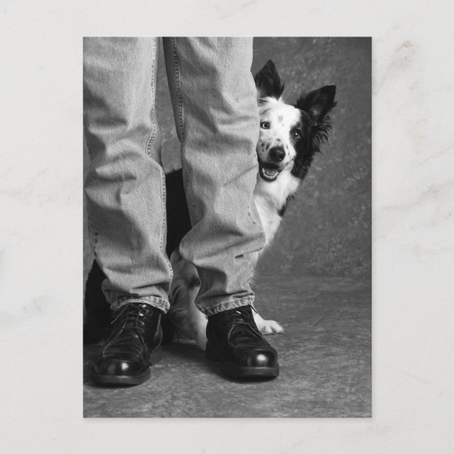 Postal Mi sombra y yo - Perro de Collie (Anverso)