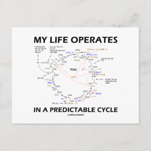 Postal Mi Vida Funciona En Un Ciclo Predecible (Krebs)